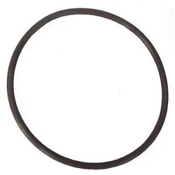 O-RING PPT03304G