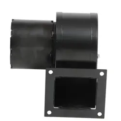 1TDP1 4C004