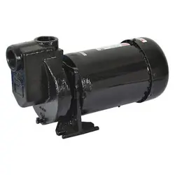 DAYTON 2ZXP2