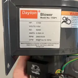 1TDP1