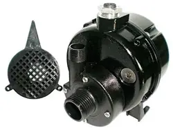 12U597 PUMP