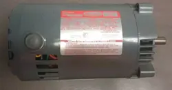 RPM LR39894