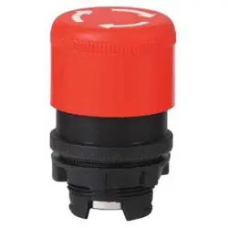30G117 PUSH BUTTON