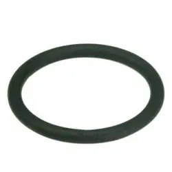 O-RING PPO8ZN024G