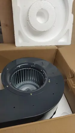 RECTANGLE REPLACEMENT