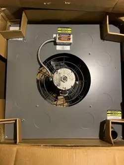 3200
