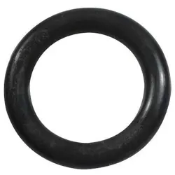 IMPELLER O-RING