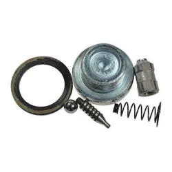 DAYTON 97-153 VALVE ASSEMBLY
