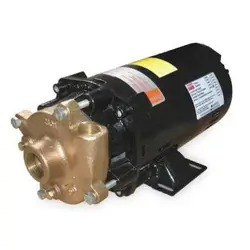DAYTON 2ZWT1