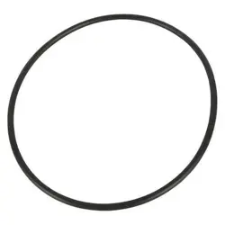 O-RING PPTXG903G