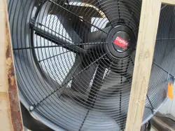 FAN 10