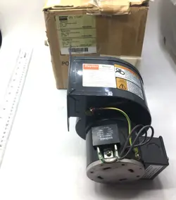 1TDP7 NIB
