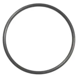 DAYTON PP1V0314G O-RING, PP1V0314G