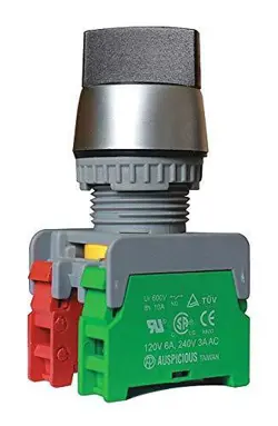 DAYTON SWITCH