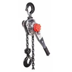 10 FT HOIST