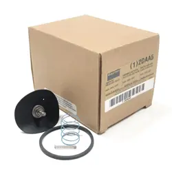 2DAA5 DAYTON VALVE REBUILD KIT
