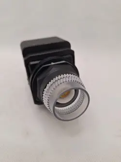 PUSH BUTTON: 30