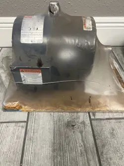 PURPOSE MOTOR: OPEN