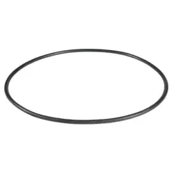 DAYTON PP60074G O-RING,BUNA-N, PP60074G