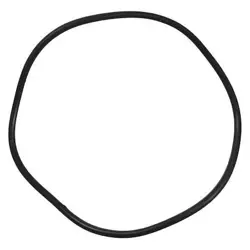 O-RING PPTPXX306G