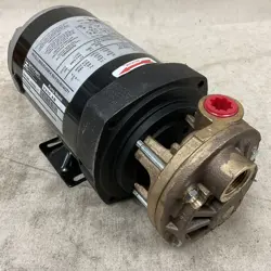 TURBINE PUMP 1/3HP