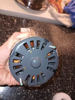 HVAC MOTOR: