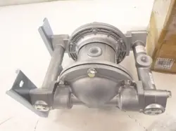 DIAPHRAGM