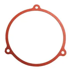 FLAT GASKET PP26123BW0501G