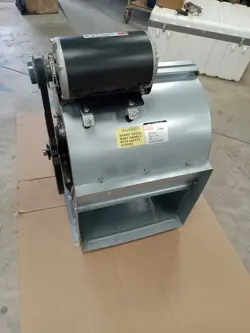 ELECTRIC MOTOR MINT
