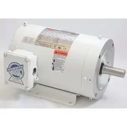 1TRZ2 WASHDOWN MOTOR