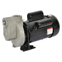 DAYTON 2ZXT5