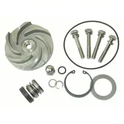 PUMP REPAIR KIT-21TG89-FREE