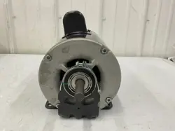 DAYTON 24C182 BELT