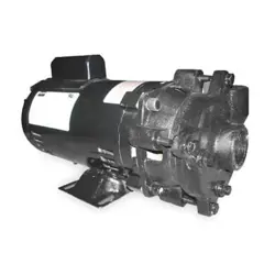 DAYTON 2ZWP3 CAST
