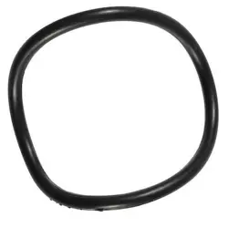 O-RING PPTPXX502G