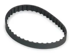 TEETH