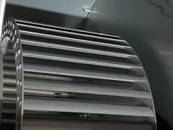960