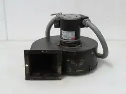 T183695