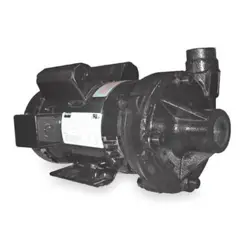 DAYTON 2ZXN8 CAST