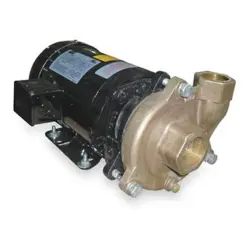 DAYTON 2ZWT7