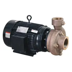 55JJ60 CENTRIFUGAL PUMP