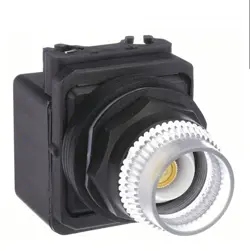 30MM PUSHBUTTON MOMENTARY