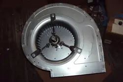 3/4 IN WHEEL
