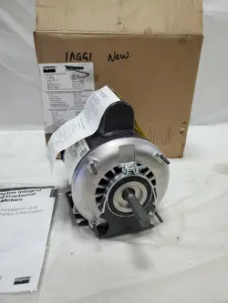 48YZ