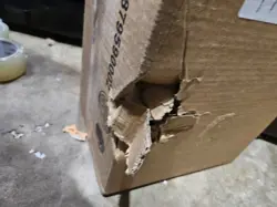 SHIPPING!