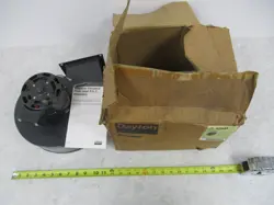 T1381
