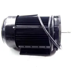 INDUCTION MOTOR FOR