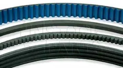 NSFB BELT