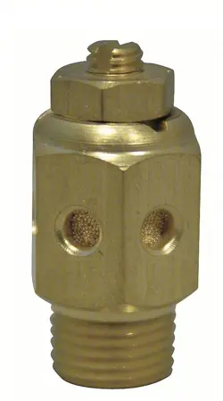 NPT 300 PSI...
