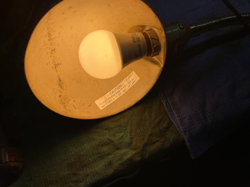 LAMP